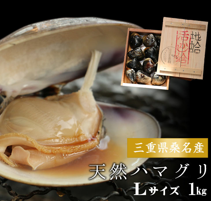 稀少な桑名産天然地蛤 1kg