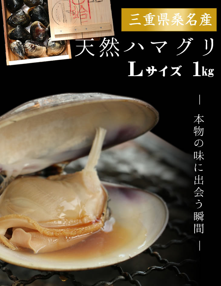稀少な桑名産天然地蛤 1kg