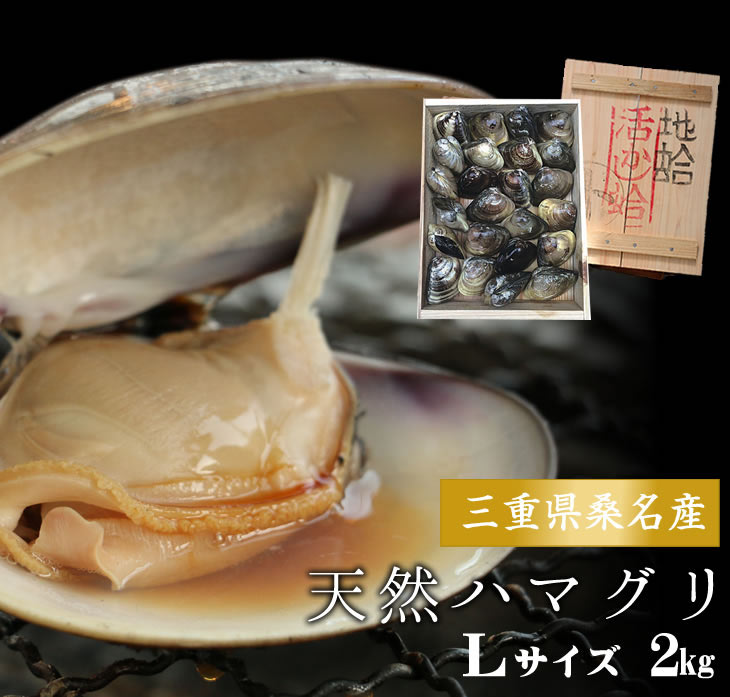 稀少な桑名産天然地蛤 1kg