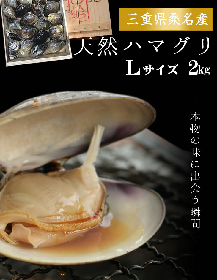 稀少な桑名産天然地蛤 1kg