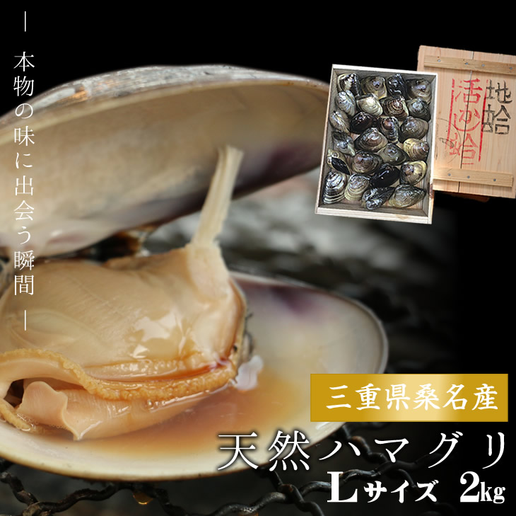 稀少な桑名産天然地蛤 1kg